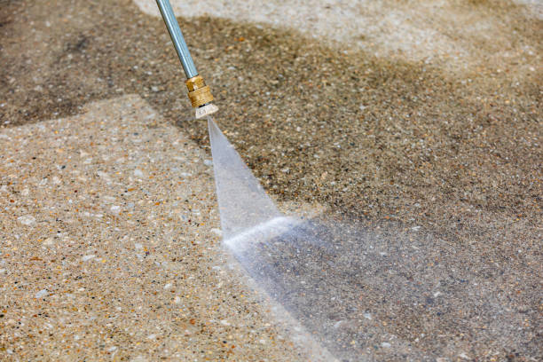 Best Driveway Pressure Washing  in Ambler, PA